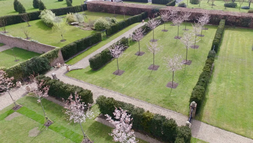 Giardino dei ciliegi delimitato da siepi di tasso