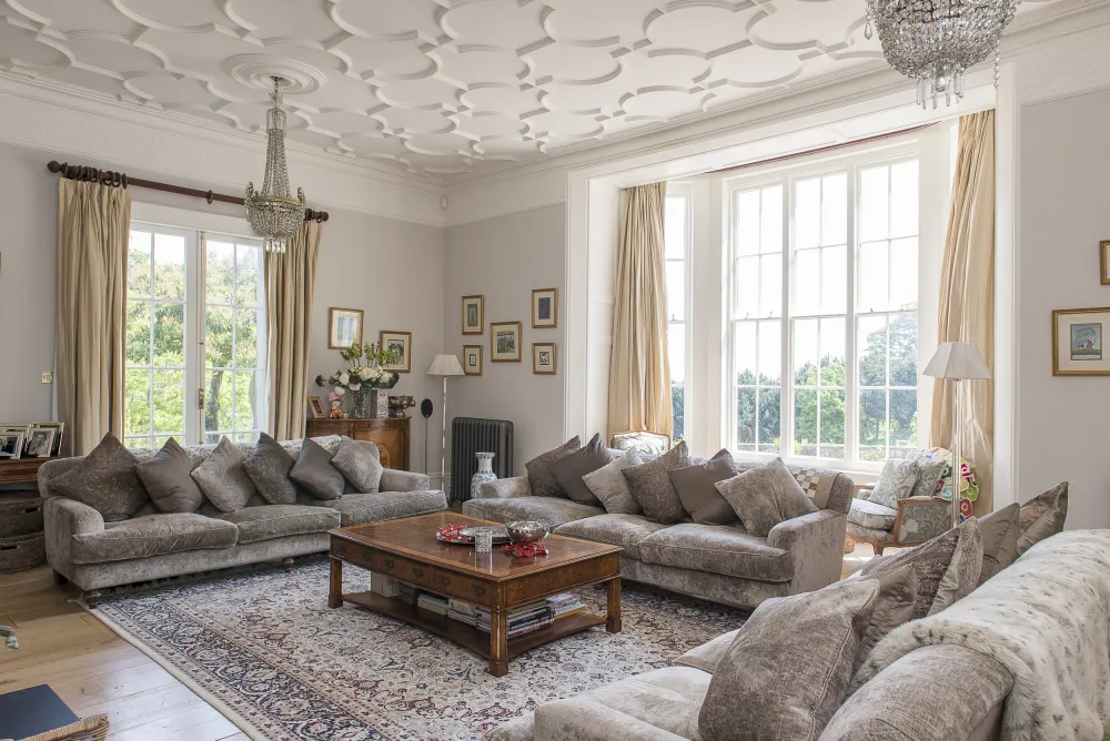 Soggiorno con dettagli del soffitto